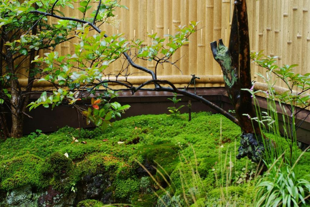 城崎温泉 但馬屋-Tajimaya- Toyooka  Exteriör bild